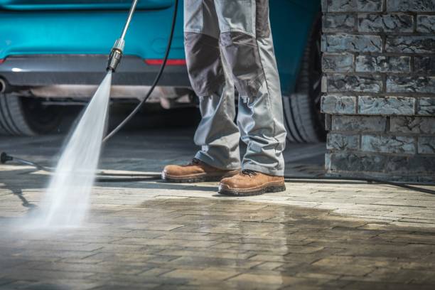 Best Fleet Vehicle Washing  in Belle Haven, VA