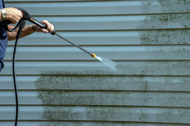 Solar Panel Cleaning in Belle Haven, VA